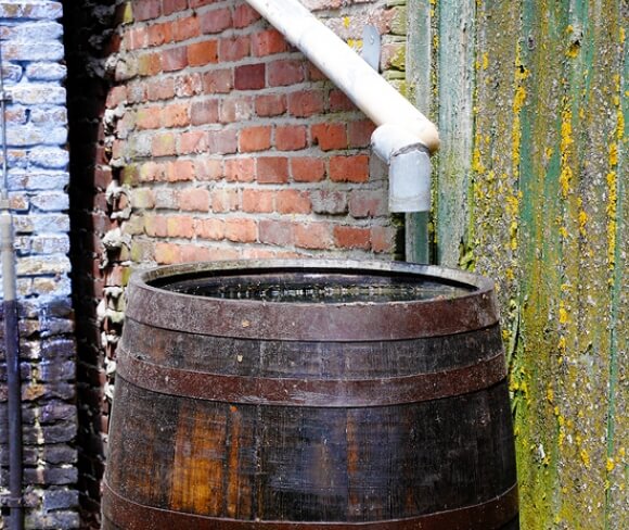 Old barrel for collecting rainwater in backyard.