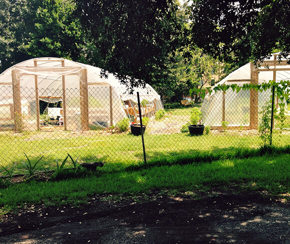 hoop-houses